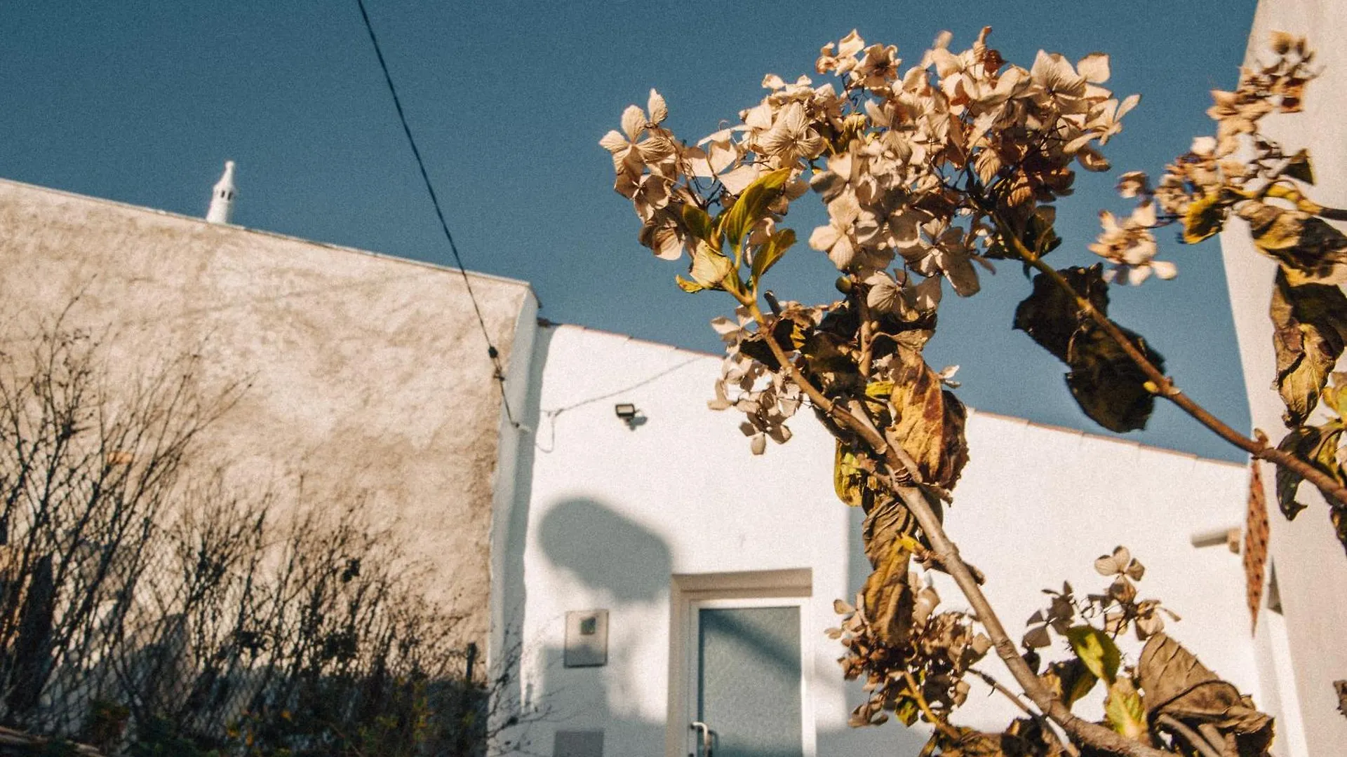Casa Da Figueira - Guest House