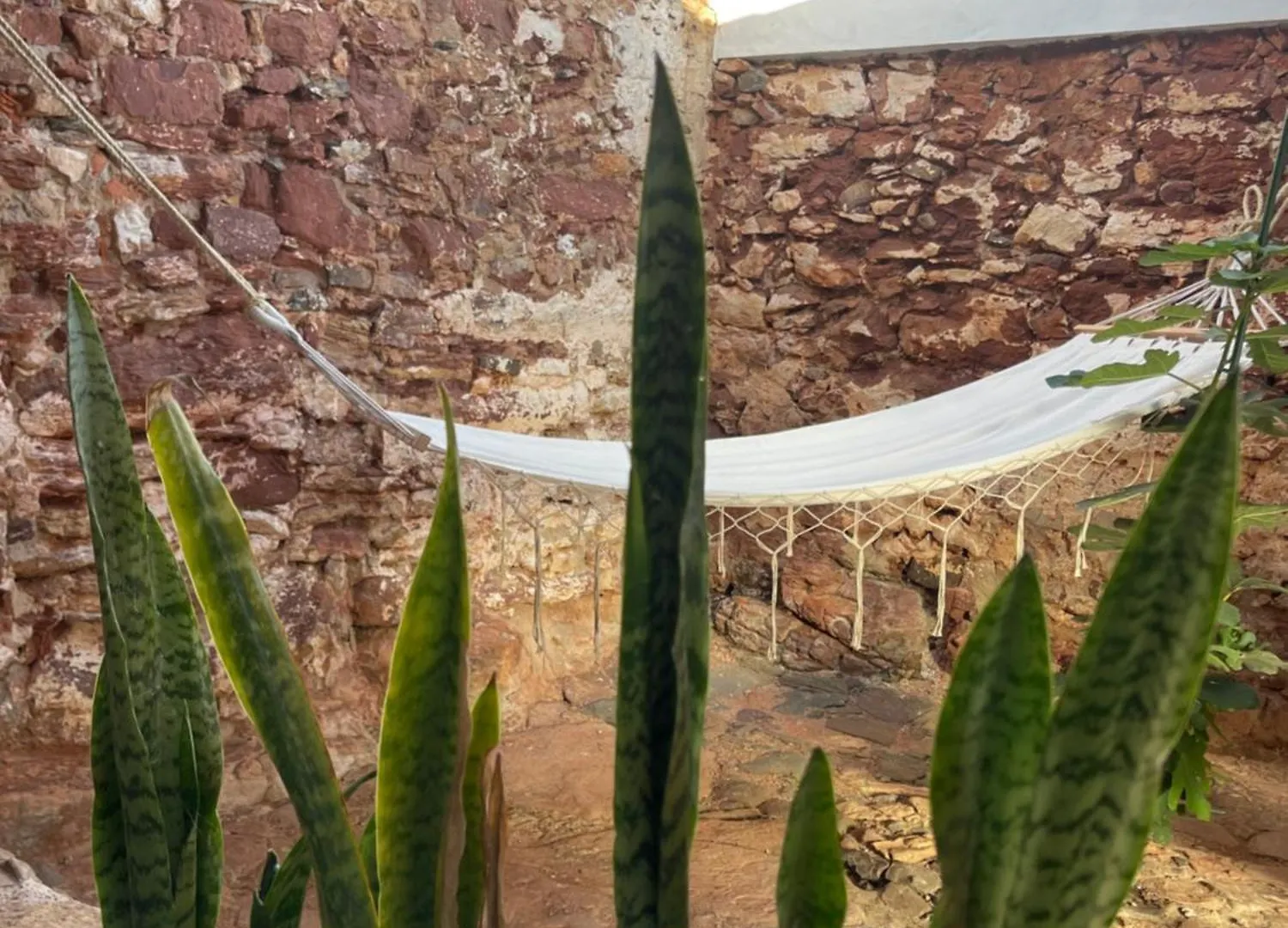 Casa Da Figueira - Guest House Figueira (Portimao)